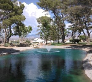 Calvada Eye Pahrump
