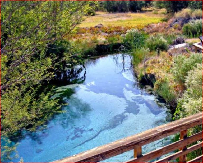 Ash Meadows... An Oasis in the Middle of the Mojave Desert