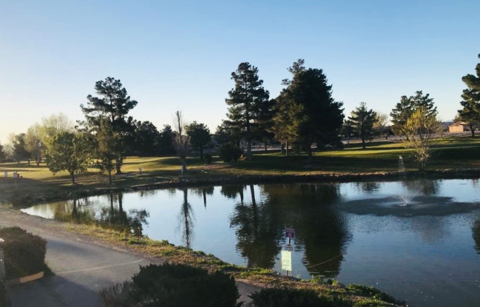 Pahrump Nevada Word Class Golfing Awaits You at Our Lush Courses Pahrump Nevada Word Class Golfing Awaits You at Our Lush Courses