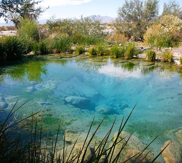 Clear blue hot spring surrounded by rocks and green plants, with mountains visible in the background.