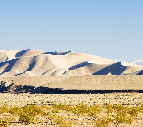 Sand dunes and desert plants under a clear blue sky with mountains in the background.