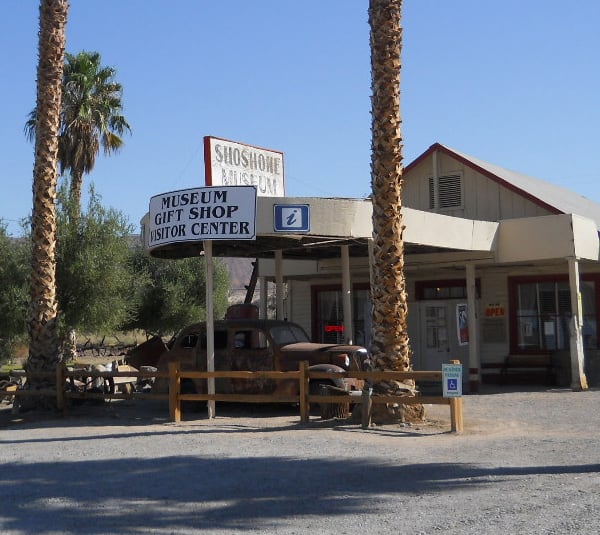 A store front with palm trees and a sign.