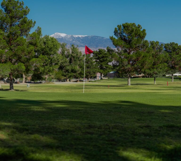 A red flag on a golf course green, surrounded by trees with mountains in the background.