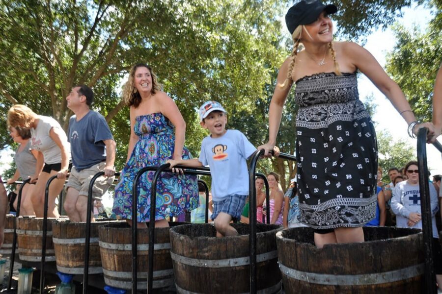 People cheerfully stomping grapes in wooden barrels at an outdoor event on a sunny day.