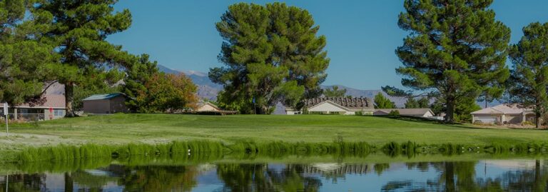 A grassy lawn with tall trees and houses is reflected in a calm pond under a clear blue sky.