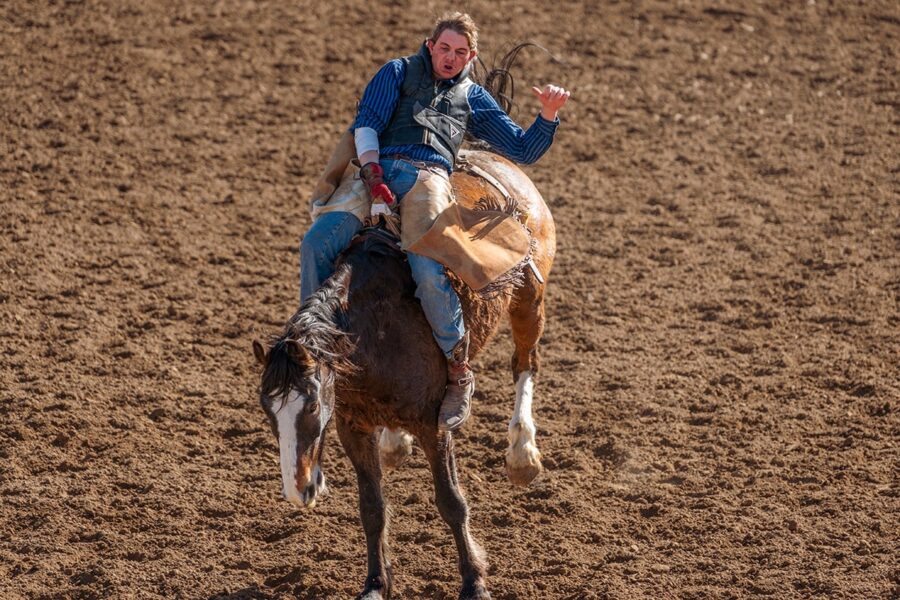 Rodeo rider holding on to a bucking horse in an arena with dirt ground.