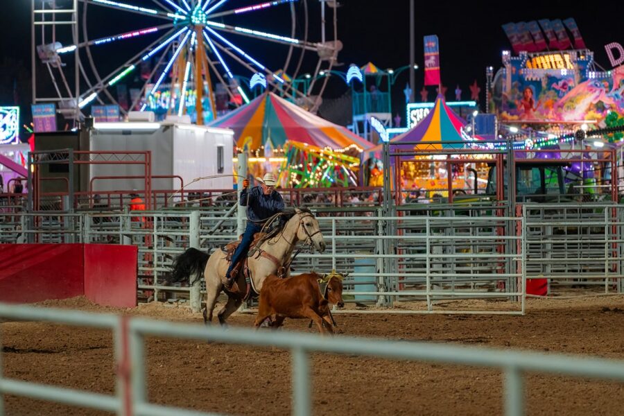 A cowboy on a horse chases a calf in a rodeo arena at a colorful, brightly lit fairground at night.