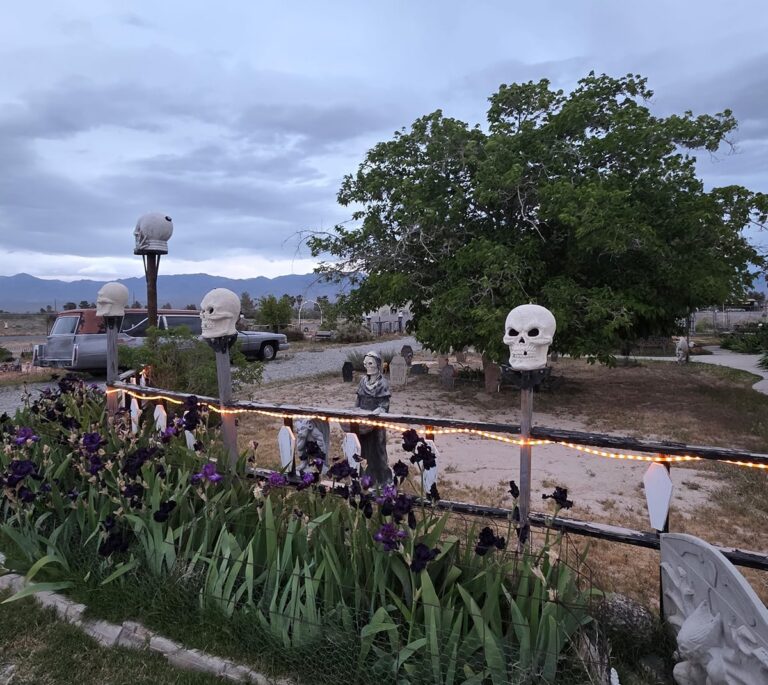 A garden with skull decorations on poles, purple flowers, and a tree in the background at dusk.