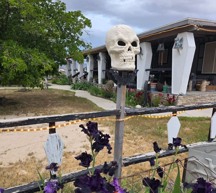 A skull decoration tops a fence post near purple irises, in front of a house with a porch and cloudy sky.