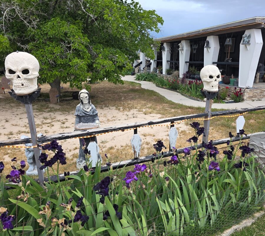 Skull decorations on a fence with purple irises, a hooded statue, and a white building in the background.