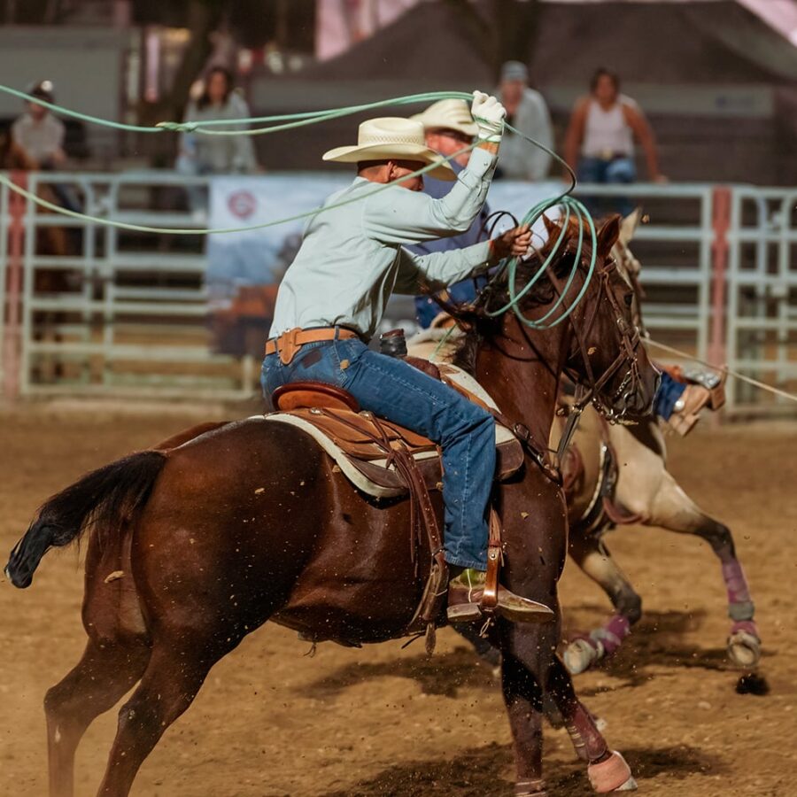 A cowboy on horseback swings a lasso in a rodeo arena during a competition.