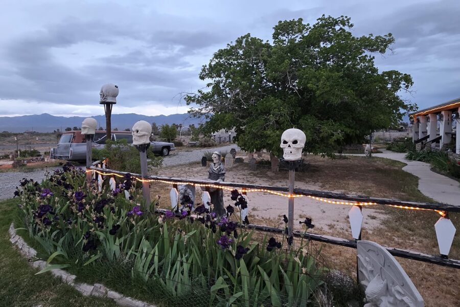A garden with skull decorations, string lights, purple flowers, a tree, and cloudy sky in the background.