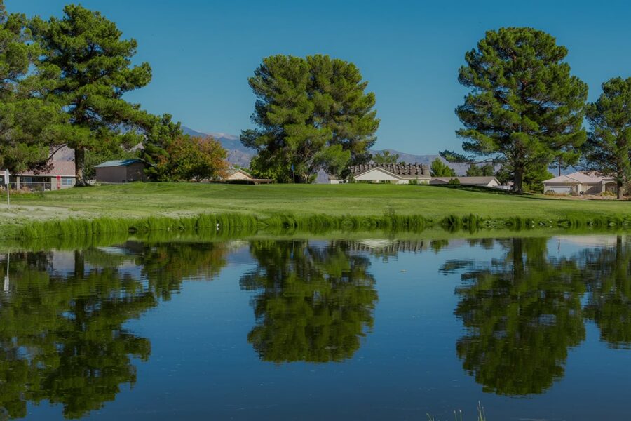 Trees and houses are reflected in a calm pond under a clear blue sky.