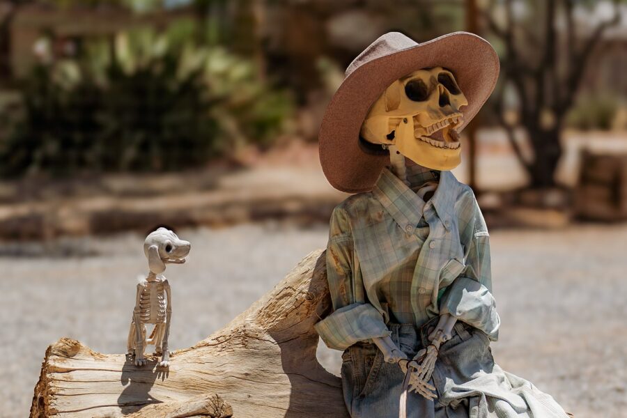 A skeleton in a hat and shirt sits on a log next to a small dog skeleton outdoors.