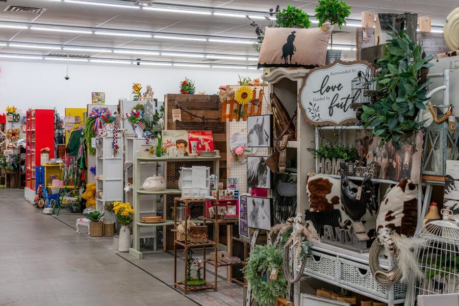 Store aisle filled with assorted home decor items, pillows, signs, plants, and books on colorful shelves.