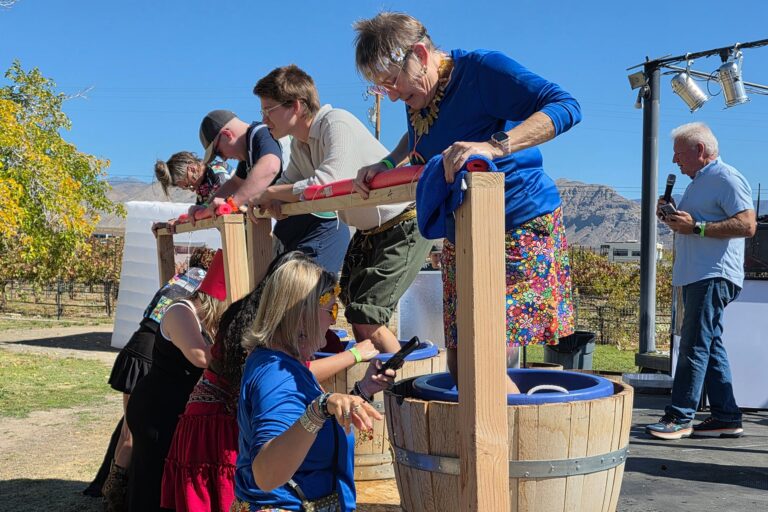 People stomping grapes in barrels at an outdoor event, with others assisting and a man speaking on a microphone.