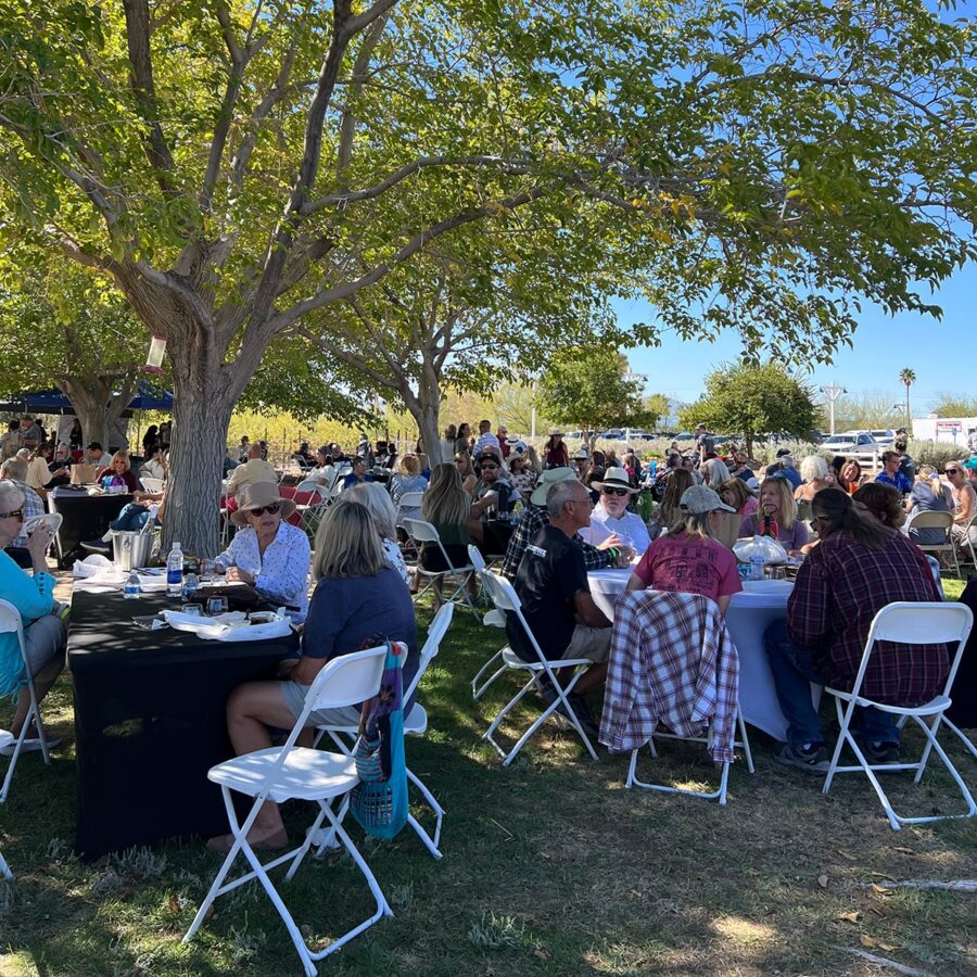People sit at round tables outdoors under trees, eating and talking at a community event on a sunny day.