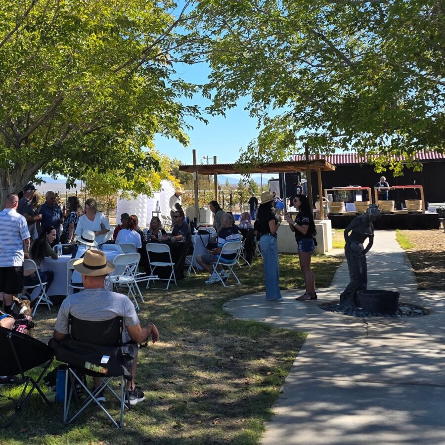 People gather at outdoor tables under trees near a stage, with a statue in the foreground on a sunny day.